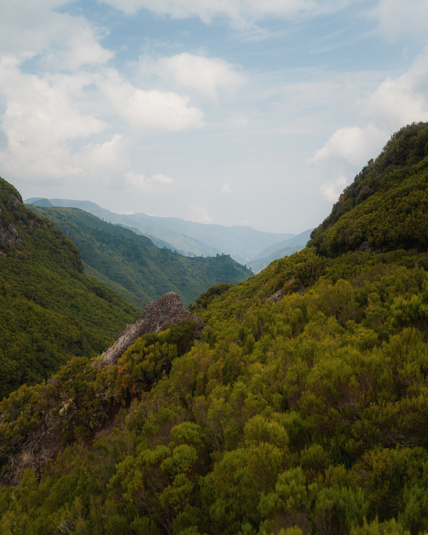 Madeira