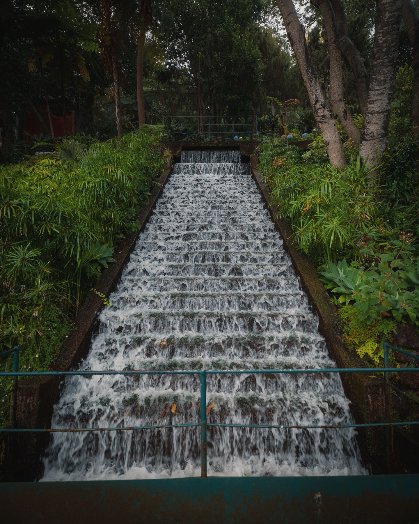 Madeira