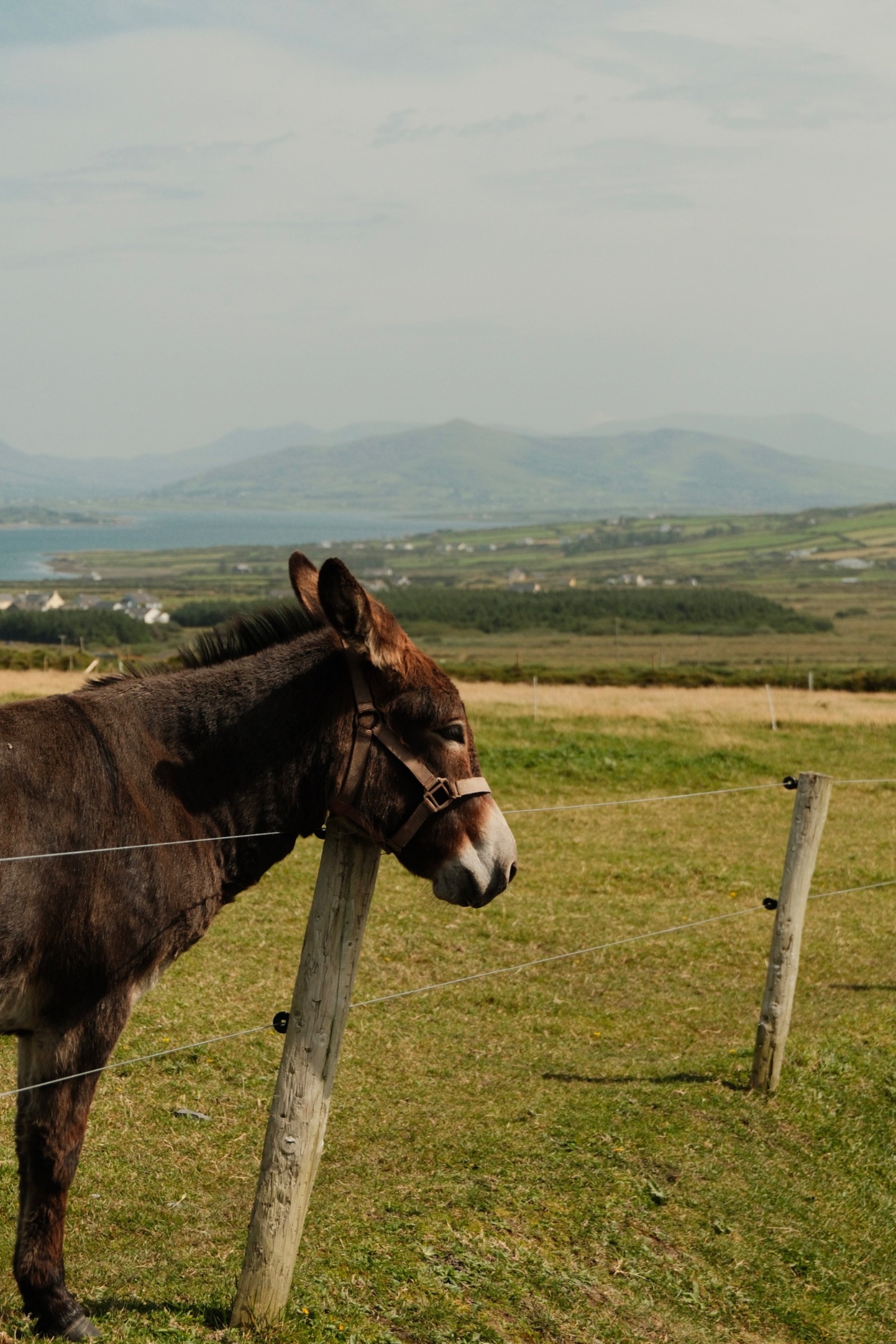 Ireland