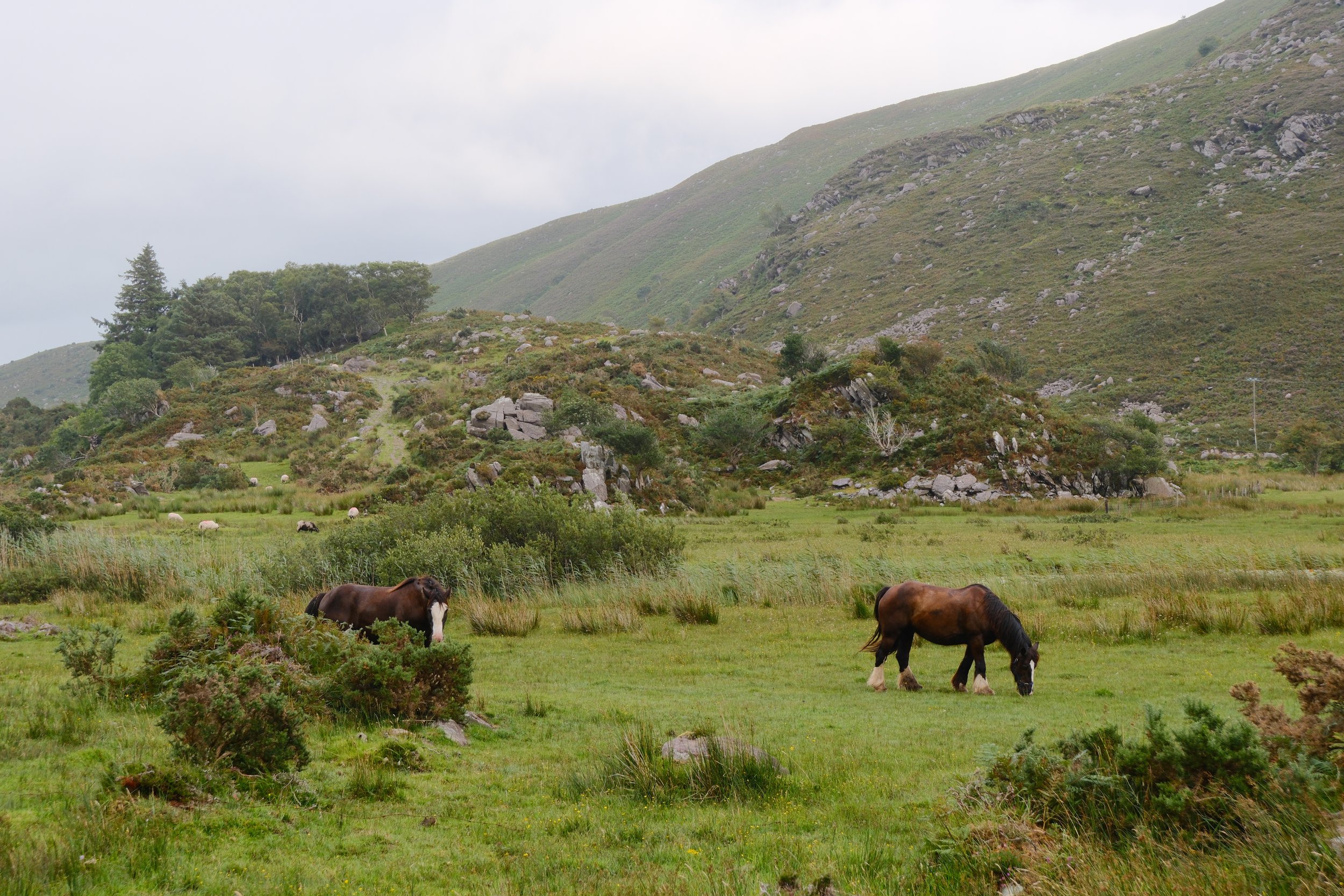 Ireland