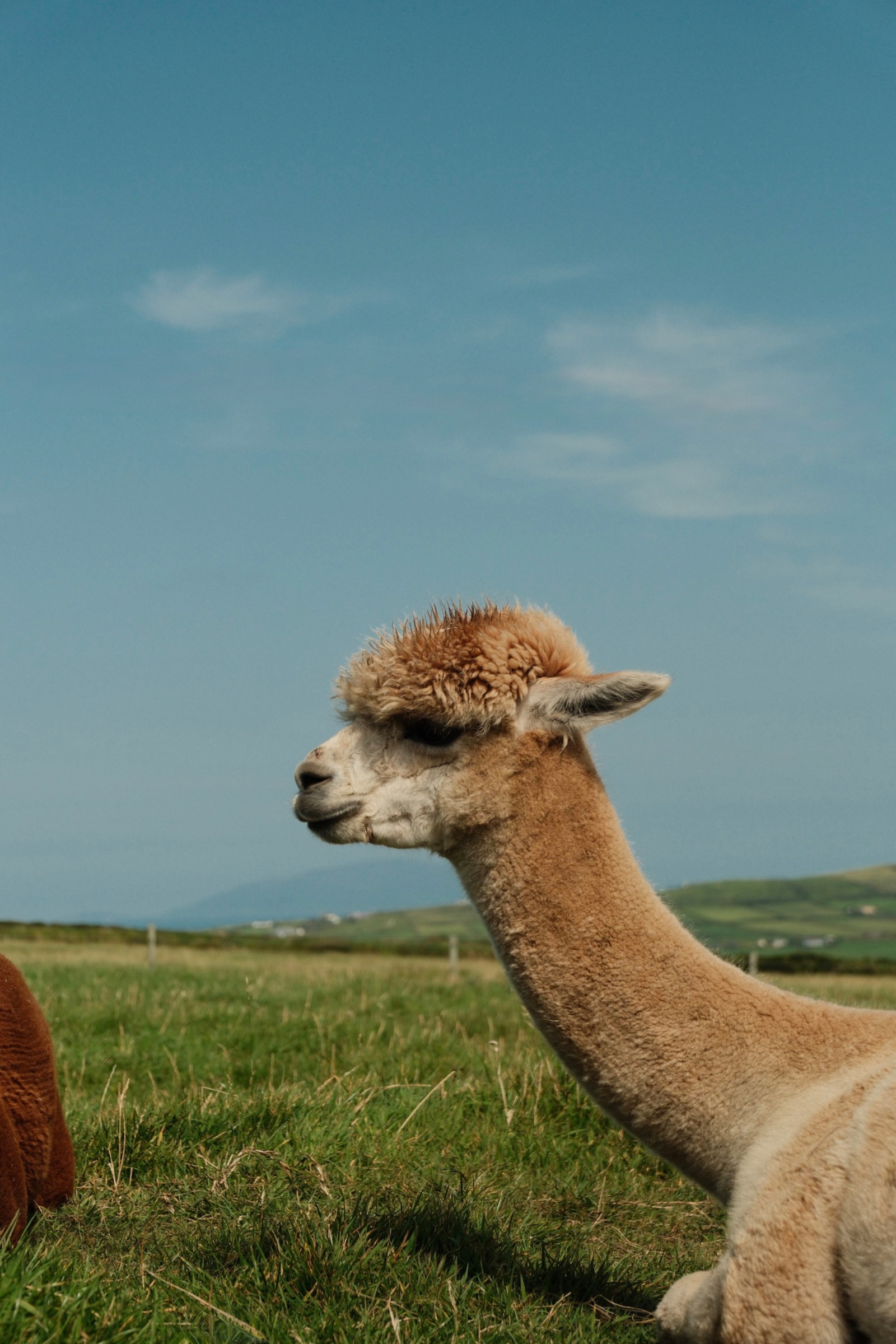 Ireland