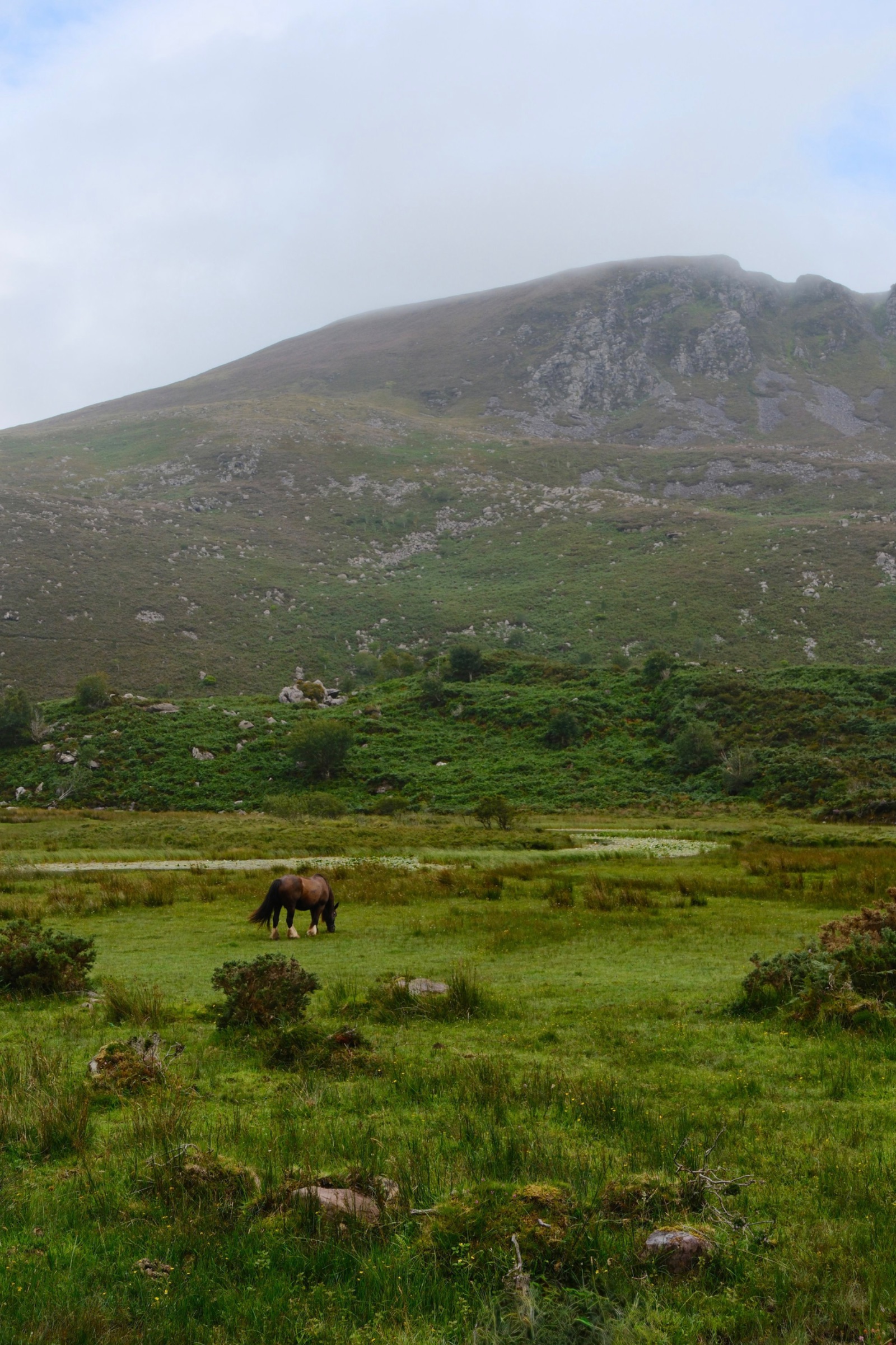 Ireland