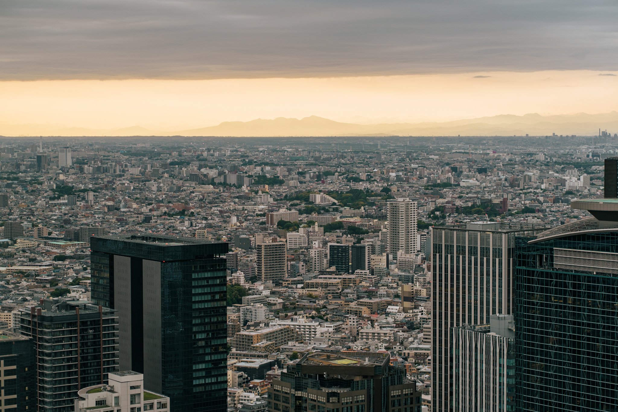 Tokyo City Skyline from the Tokyo Metropolitan Government Building