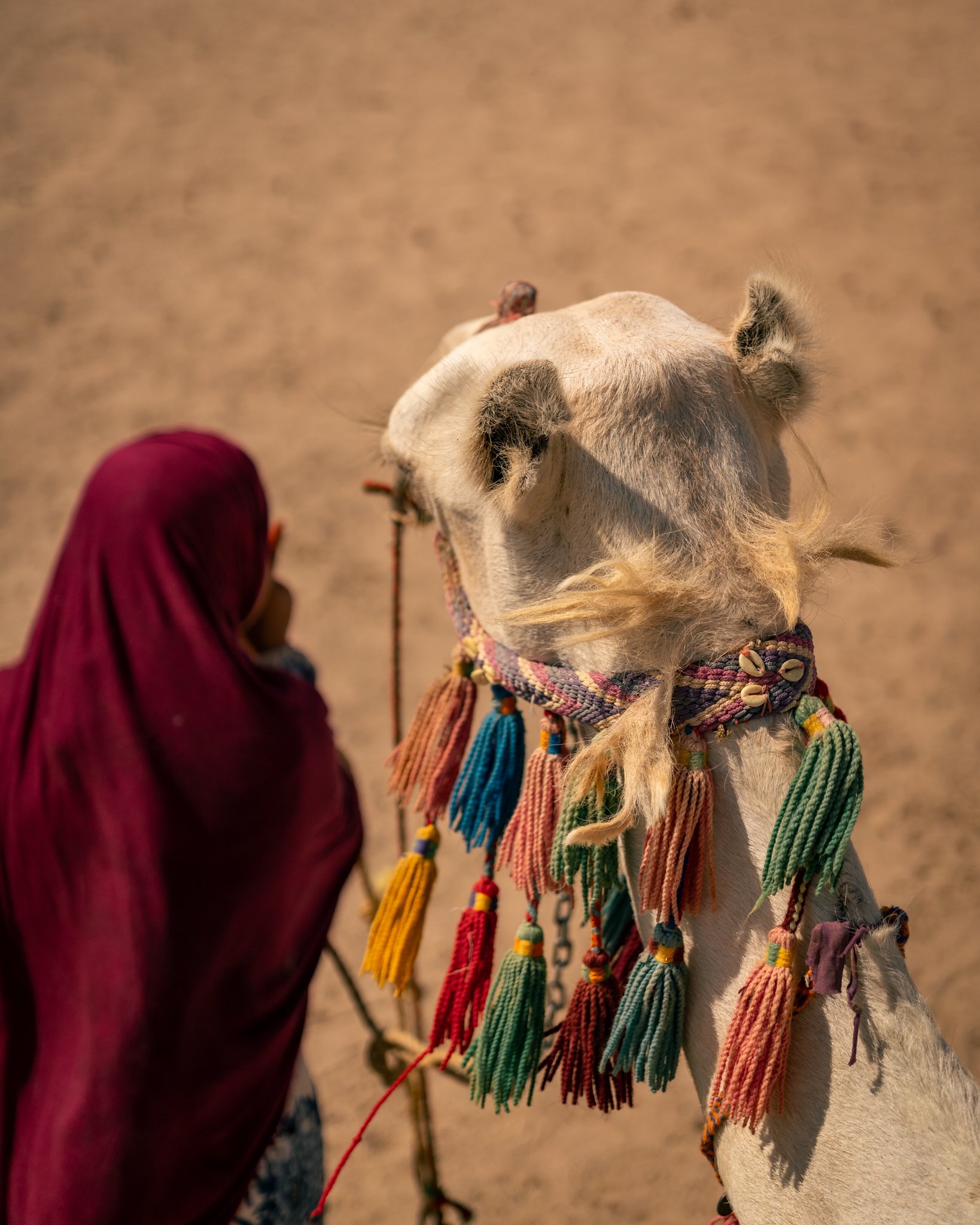 Egypt