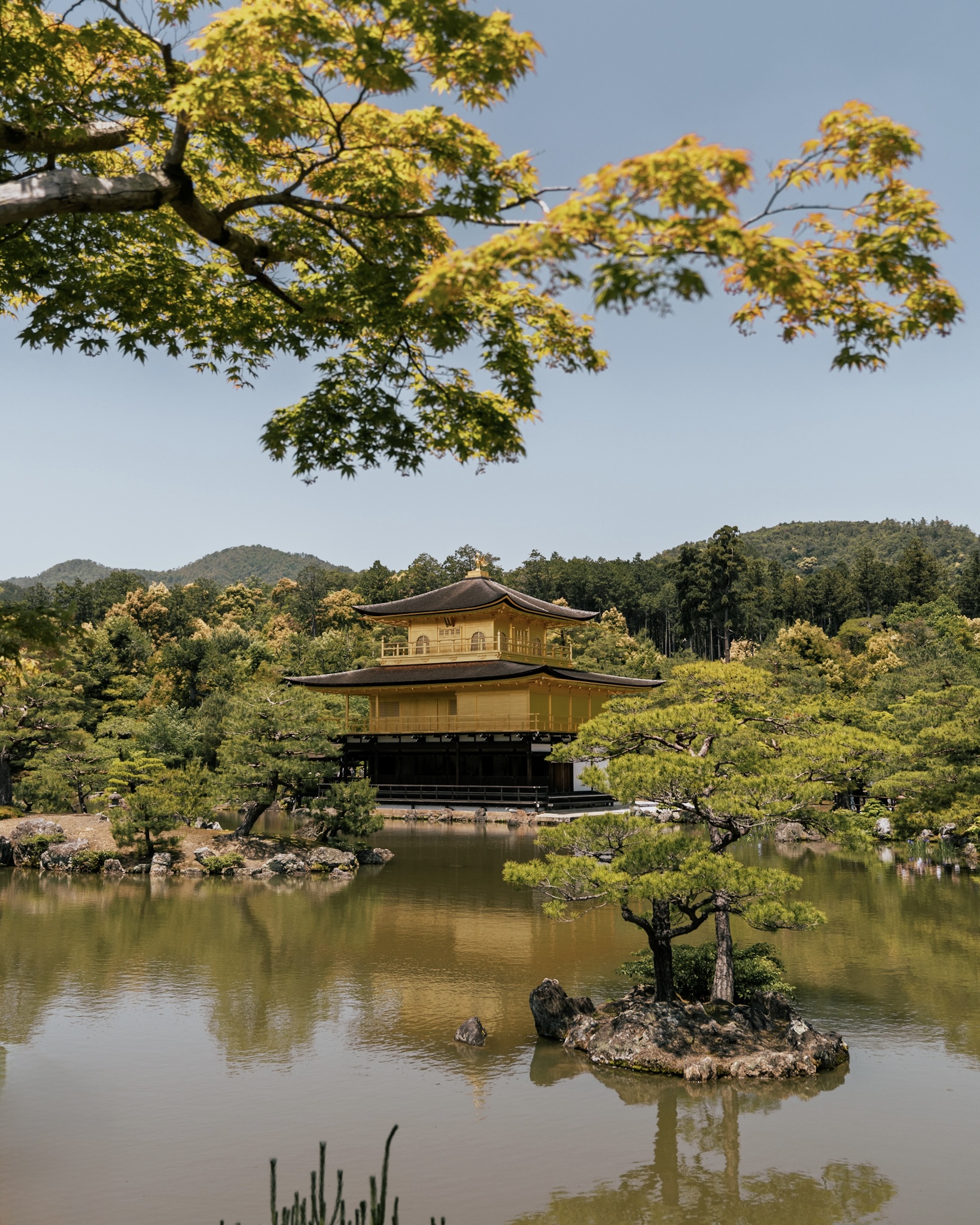 14 Days in Japan: Tokyo, Kyoto, Osaka & Beyond – My First Big Travel Adventure